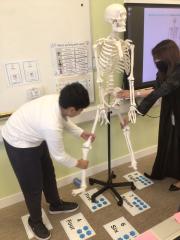 Skeleton-3