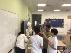 Skeletons-1